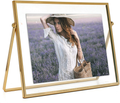 MIMOSA MOMENTS Gold Metal Floating Picture Frame (Gold, 8x10)