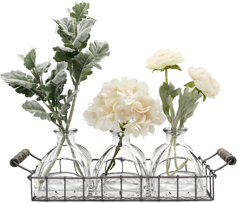 FUNSOBA Rustic Flower Vase Set with Metal Tray Farmhouse Glass Bottles for Decor (3 Vase Type C) Home & Garden > Decor > Vases FUNSOBA 3 Vase Type C  