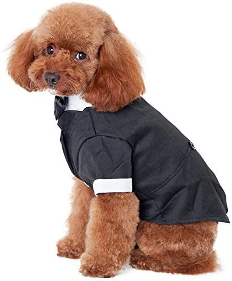 Kuoser Dog Shirt Puppy Pet Small Dog Clothes, Stylish Suit Bow Tie Costume, Wedding Shirt Formal Tuxedo with Black Tie, Dog Prince Wedding Bow Tie Suit Animals & Pet Supplies > Pet Supplies > Dog Supplies > Dog Apparel Kuoser   