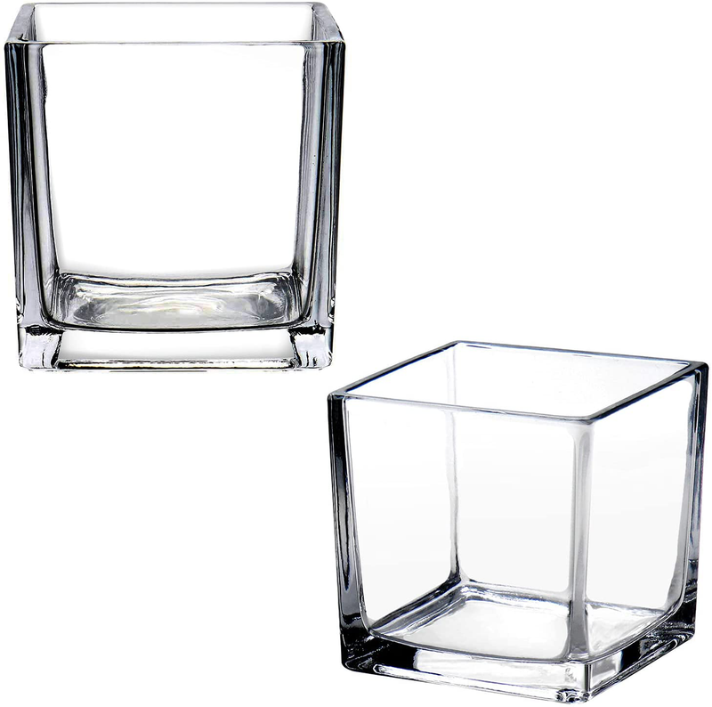 Square Glass Vase Clear Flower Decorative Centerpiece for Home or Wedding, Candle Holder, 3" x 3", Set of 6 Home & Garden > Decor > Vases plant 5" 2PCS  