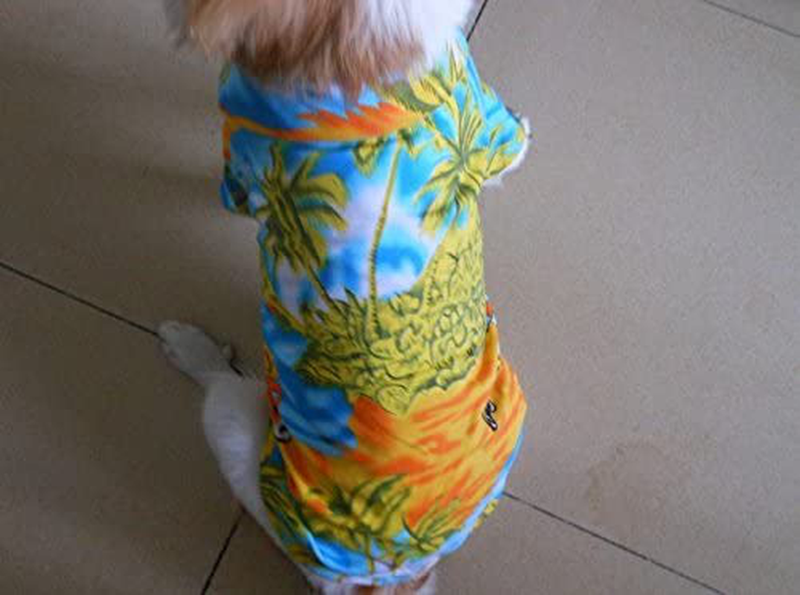 Tangpan Hawaiian Beach Coconut Tree Print Dog Shirt Summer Camp Shirt Clothes