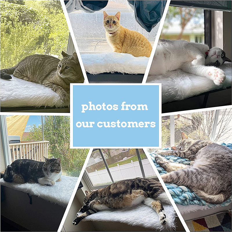 Sweetgo Cat Window Perch-Mounted Shelf Bed for Cat-Funny Sleep DIY Kitty Sill Window Perch- Washable Foam Cat Seat Animals & Pet Supplies > Pet Supplies > Cat Supplies > Cat Beds sweetgo   