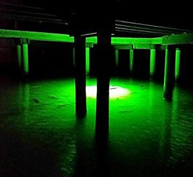 Green Blob OutdoorNew Underwater Fishing Light LED for Docks 7500 or 15000 Lumen with 110 Volt AC 30ft or 50ft Power Cord, Crappie, Snook, Fish Attractor, Made in Texas Home & Garden > Pool & Spa > Pool & Spa Accessories Green Blob Outdoors   