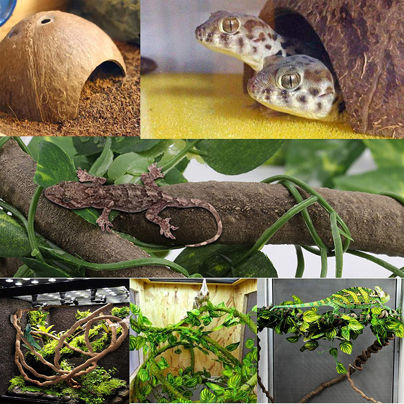 kathson Leopard Gecko Tank Accessories Reptile Habitat Decor Reptiles Hanging Plants Artificial Bendable Climbing Vines and Hidden Coconut Shell Hole for Chameleon, Lizards, Gecko, Snakes Animals & Pet Supplies > Pet Supplies > Reptile & Amphibian Supplies kathson   