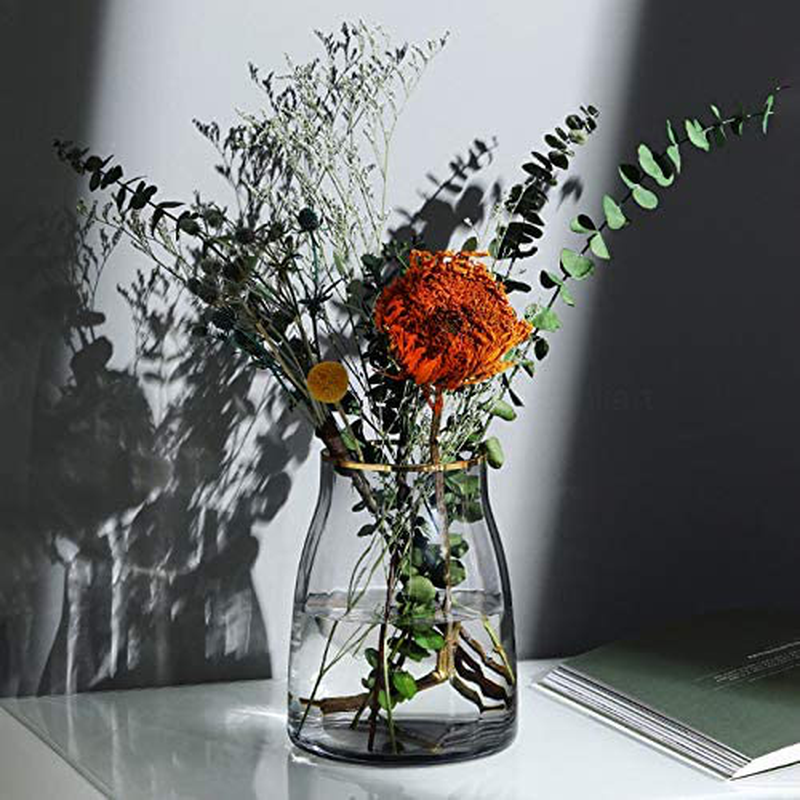 Senliart Clear Gilded Glass Vase, Grey Table Centerpiece Flowers Vase 7(H) x 5.5(W) Home & Garden > Decor > Vases Senliart   