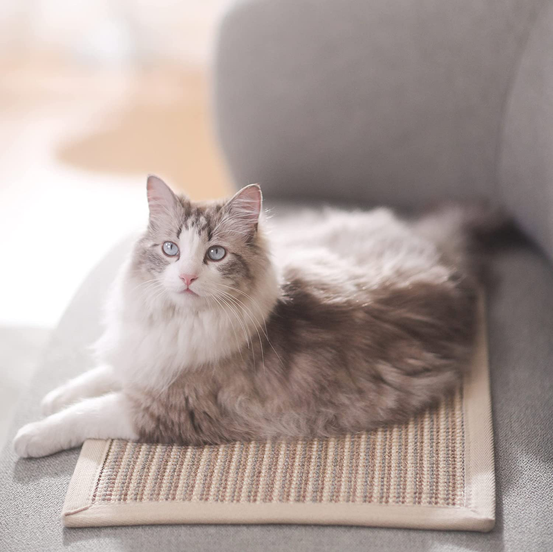 FUKUMARU Cat Scratcher Mat, 23.6 X 15.7 Inch Natural Sisal Cat Scratch Mats, Horizontal Cat Floor Scratching Pad Rug, Protect Carpets and Sofas