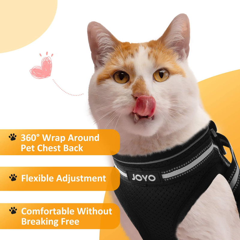 JOYO Small Cat Vest Harness, Breathable Soft Cat Harness and Lesh, Adjustable Easy Control Kitty Harness Escape Proof with Reflective Strap, Size M: Chest Girth:13.9-15.5 in, Weight 9-12 lb Animals & Pet Supplies > Pet Supplies > Cat Supplies > Cat Apparel JOYO   