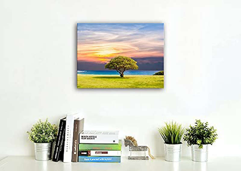 Nature Landscape Wall Art Decor of Shrub in Coastal Hill,Bedroom Wall Art Mural of Sunset Seascape Scenery,Changing Colour Sky Canvas Wall Art Painting Picture Print Poster Artwork,Inner Frame(12X16) Home & Garden > Decor > Artwork > Posters, Prints, & Visual Artwork Palderwallart   