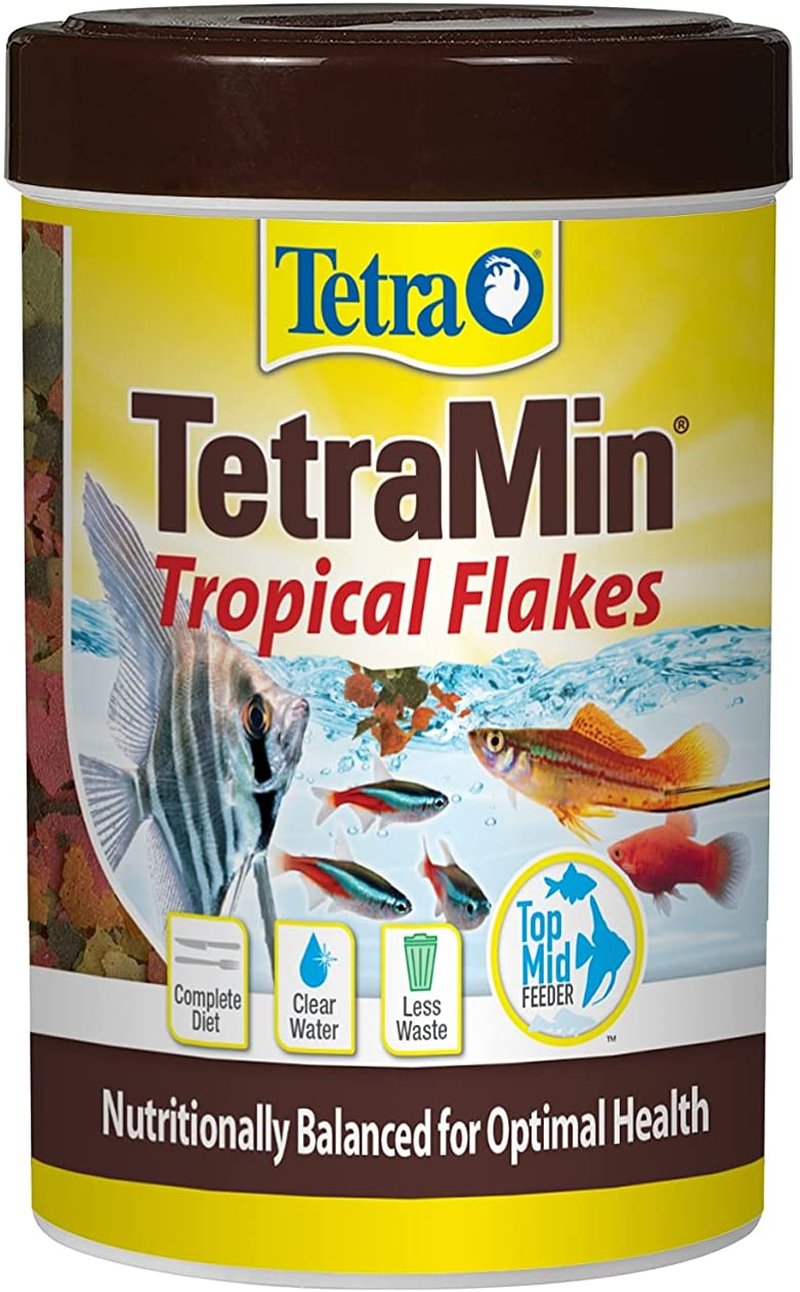 TetraMin Large Tropical Flakes For Top or Mid Feeders Animals & Pet Supplies > Pet Supplies > Fish Supplies > Fish Food Tetra 3.53 Ounce (Pack of 1)  