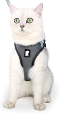Heywean Cat Harness and Leash - Ultra Light Escape Proof Kitten Collar Cat Walking Jacket with Running Cushioning Soft and Comfortable Suitable for Puppies Rabbits Animals & Pet Supplies > Pet Supplies > Cat Supplies > Cat Apparel HEYWEAN Silver grey Small (Pack of 1) 
