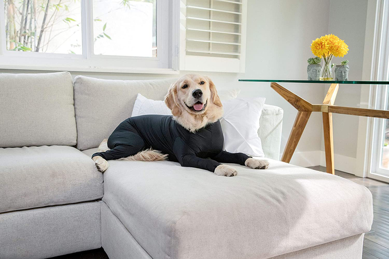 Shed Defender Original Dog Onesie - Seen on Shark Tank, Contains Shedding of Dog Hair for Home, Car, Travel, Anxiety Calming Shirt, Surgery Recovery Body Jumpsuit, E Collar Alternative Animals & Pet Supplies > Pet Supplies > Dog Supplies > Dog Apparel Shed Defender   