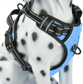PoyPet No Pull Dog Harness, Reflective Vest Harness with 2 Leash Attachments and Easy Control Handle for Small Medium Large Dog Animals & Pet Supplies > Pet Supplies > Dog Supplies PoyPet Light Blue XS 