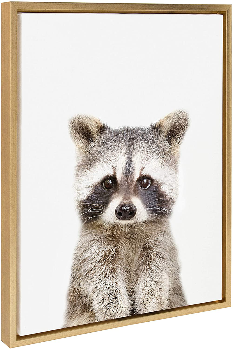 Kate and Laurel Sylvie Raccoon Portrait Framed Canvas Wall Art by Amy Peterson, 18x24 Gold, Adorable Animal Home Decor