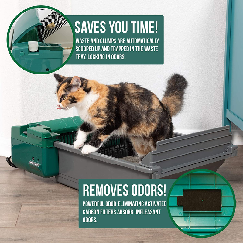 Pet Zone Smart Scoop Automatic Litter Box (Self Cleaning Litter Box, Cat Litter Box with No Expensive Refills) [Hands-Free, East to Clean Waste Disposal Litter Box, Works with Clumping Cat Litter] Animals & Pet Supplies > Pet Supplies > Cat Supplies > Cat Litter Pet Zone   