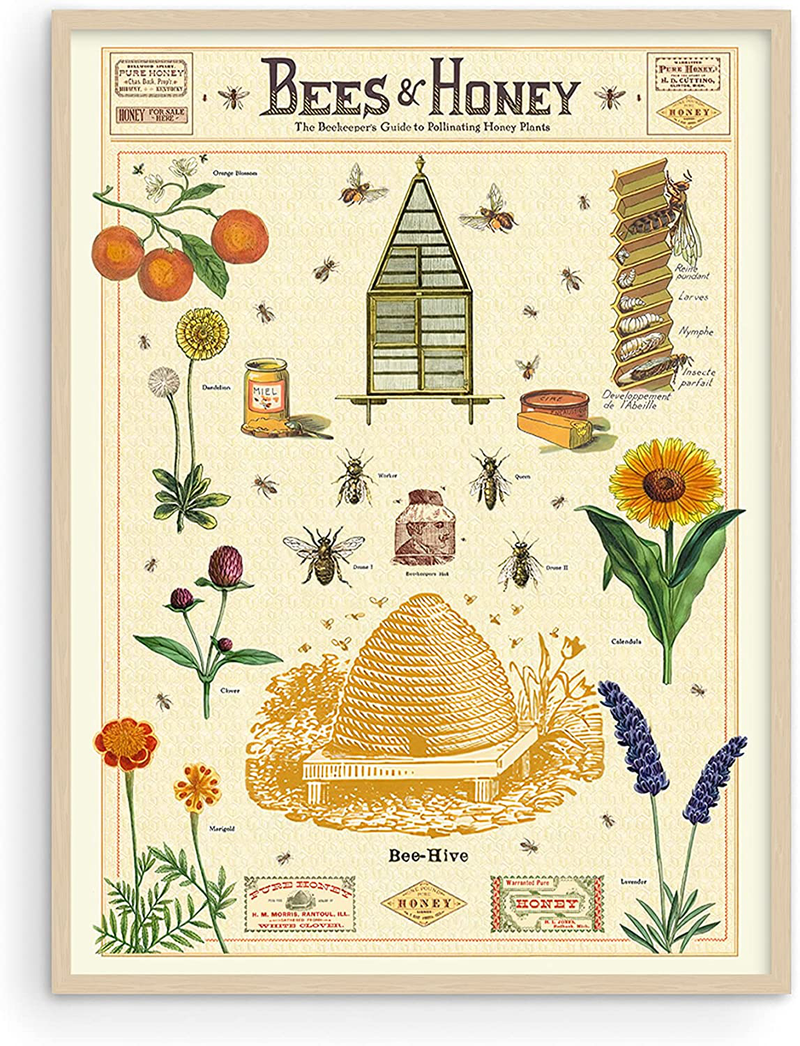 Haus and Hues Honey Bee Decor Cavallini Poster - Bee Poster, Vintage Posters for Room Aesthetic Prints, and Posters Vintage Prints and Plant Posters Follygraph Fleurs Vintage Poster UNFRAMED 12"X16" Home & Garden > Decor > Artwork > Posters, Prints, & Visual Artwork HAUS AND HUES Bees and Honey 12x16 Beige Framed 