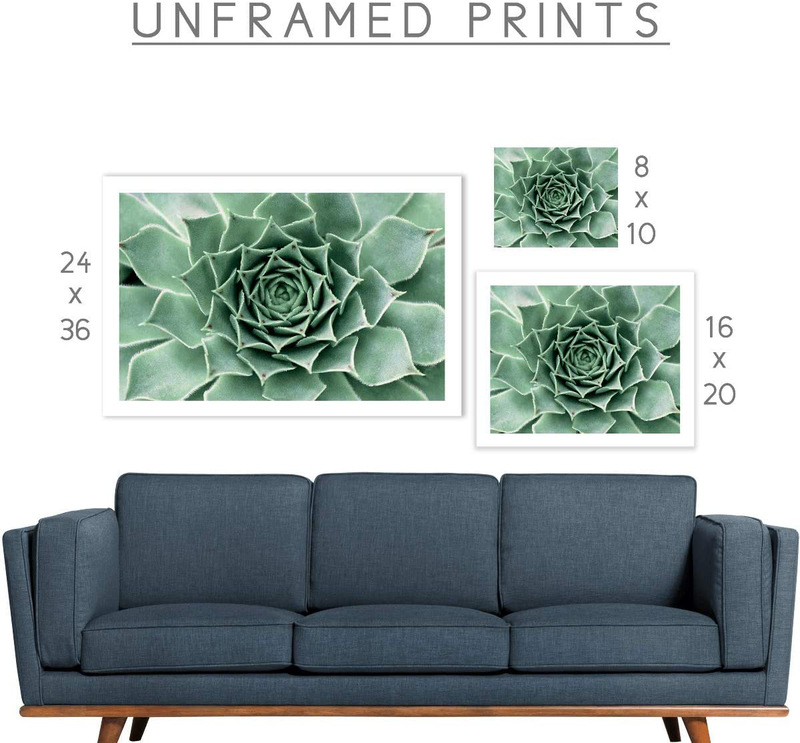 Humble Chic Succulent Cactus Plant, 24X36 Horizontal Wall Art Prints - Unframed HD Printed Plants Picture Poster Decorations for Home Decor Living Dining Bedroom Bathroom College Dorm Room Home & Garden > Decor > Artwork > Posters, Prints, & Visual Artwork Humble Chic NY   
