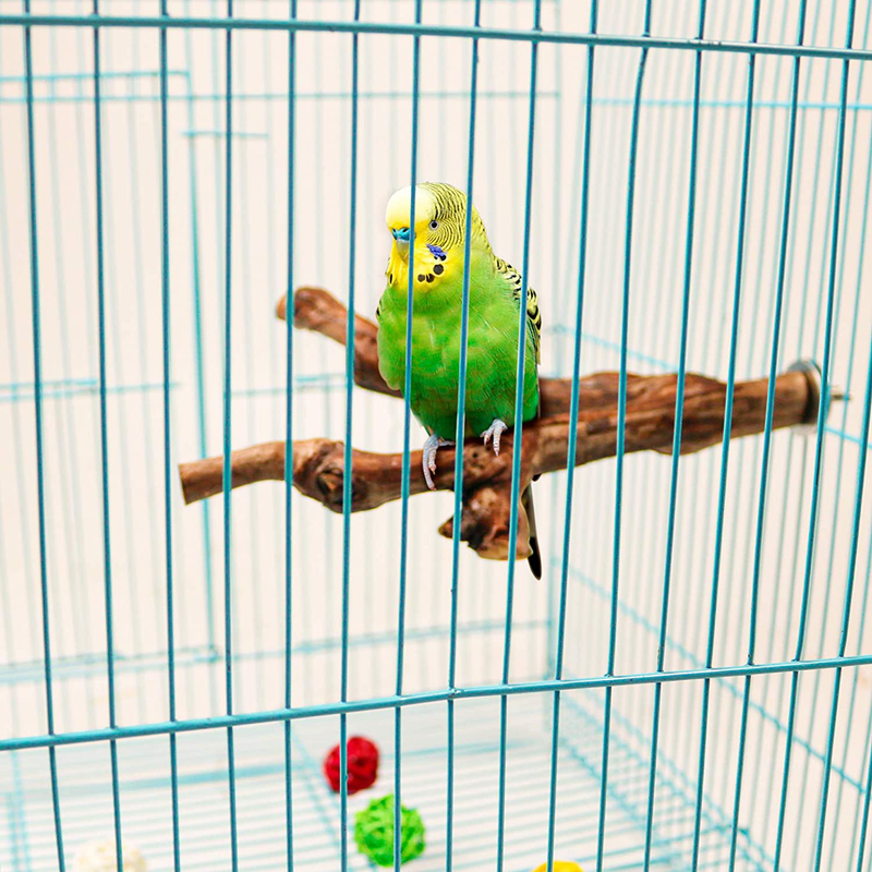 Parrot Perch Stands Birds Stand Pole Natural Wild Grape Stick Grinding Paw Climbing Standing Cage Accessories Toy Branches for Parakeet, Budgies, Lovebirds Animals & Pet Supplies > Pet Supplies > Bird Supplies S-Mechanic   