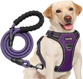 tobeDRI No Pull Dog Harness Adjustable Reflective Oxford Easy Control Medium Large Dog Harness with A Free Heavy Duty 5ft Dog Leash (S (Neck: 13"-18", Chest: 17.5"-22"), Blue Harness+Leash) Animals & Pet Supplies > Pet Supplies > Dog Supplies tobeDRI Purple harness+leash S (Chest: 17.5"-21") 