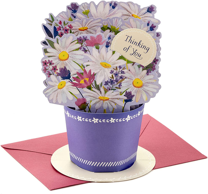 Hallmark Paper Wonder Thinking of You, Birthday, Encouragement Pop Up Card (Displayable Daisy Bouquet)