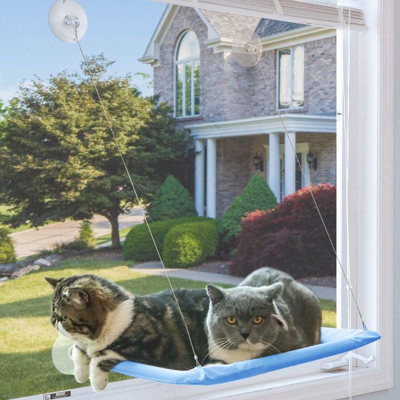 NOYAL Cat Resting Seat Perch Window Hammock Cats Kitty Safety Bed with Durable Heavy Duty Suction Cups Cat Bed Holds up to 30Lbs(Extra 2 Suction Cups) Animals & Pet Supplies > Pet Supplies > Cat Supplies > Cat Beds NOYAL Blue  