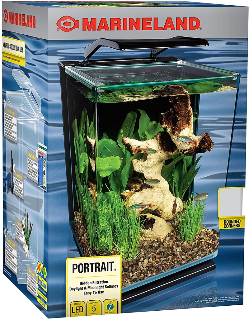 Marineland Portrait Glass LED aquarium Kit, 5 Gallons, Hidden Filtration Animals & Pet Supplies > Pet Supplies > Fish Supplies > Aquariums MarineLand   