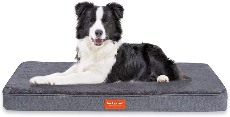 Luckyvon Large Dog Bed, Orthopedic Memory Foam Dog Bed, Large Dog Bed with Removable Plush Cover ,Waterproof Lining and Nonskid Bottom Dog Couch,Dog Mattress Suitable for 30 Lbs to 200 Lbs Animals & Pet Supplies > Pet Supplies > Dog Supplies > Dog Beds luckyvon Grey L(35"*22"*3"in) 