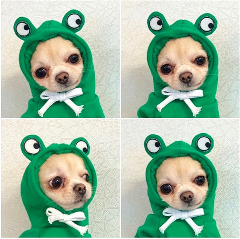 Frieyss Cute Green Dog Hoodie Clothes Costume Dog Fleece Sweater for Dogs Puppy Coat Dog Warm Clothe Animals & Pet Supplies > Pet Supplies > Dog Supplies > Dog Apparel Frieyss   