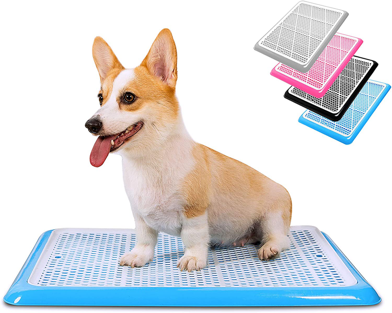 Pet Awesome Dog Potty Tray / Puppy Pee Pad Holder 25”x20” Indoor Wee Training for Small and Medium Dogs Animals & Pet Supplies > Pet Supplies > Dog Supplies > Dog Diaper Pads & Liners PET AWESOME Blue  