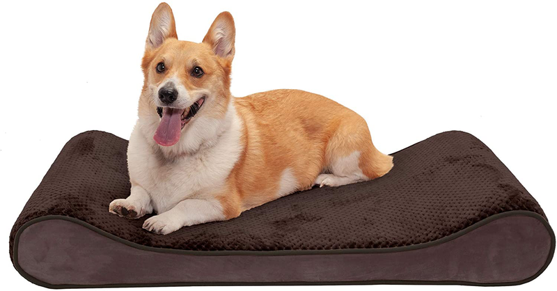 Furhaven Orthopedic, Cooling Gel, and Memory Foam Pet Beds for Small, Medium, and Large Dogs - Ergonomic Contour Luxe Lounger Dog Bed Mattress and More Animals & Pet Supplies > Pet Supplies > Dog Supplies > Dog Beds Furhaven Pet Products, Inc Minky Espresso Contour Bed (Memory Foam) Large (Pack of 1)