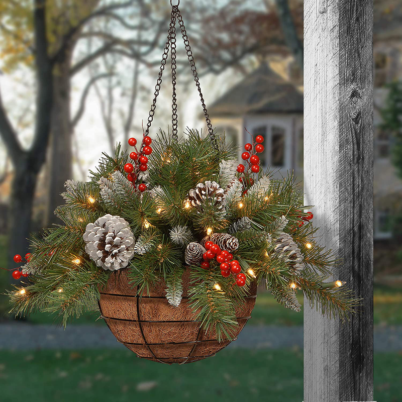 National Tree Company Pre-Lit Artificial Christmas Hanging Basket, Frosted Berry, Decorated With Frosted Pine Cones, Berry Clusters, White LED Lights, Christmas Collection, 20 Inches Home & Garden > Decor > Seasonal & Holiday Decorations& Garden > Decor > Seasonal & Holiday Decorations National Tree Company   