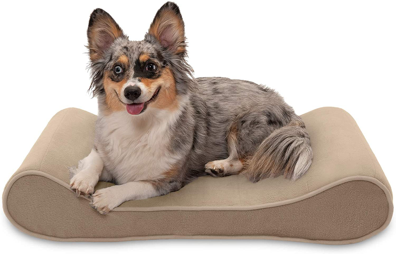 Furhaven Orthopedic, Cooling Gel, and Memory Foam Pet Beds for Small, Medium, and Large Dogs - Ergonomic Contour Luxe Lounger Dog Bed Mattress and More Animals & Pet Supplies > Pet Supplies > Dog Supplies > Dog Beds Furhaven Pet Products, Inc Microvelvet Clay Contour Bed (Cooling Gel Foam) Medium (Pack of 1)