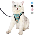 Heywean Cat Harness and Leash - Ultra Light Escape Proof Kitten Collar Cat Walking Jacket with Running Cushioning Soft and Comfortable Suitable for Puppies Rabbits Animals & Pet Supplies > Pet Supplies > Cat Supplies > Cat Apparel HEYWEAN Green Large (Pack of 1) 