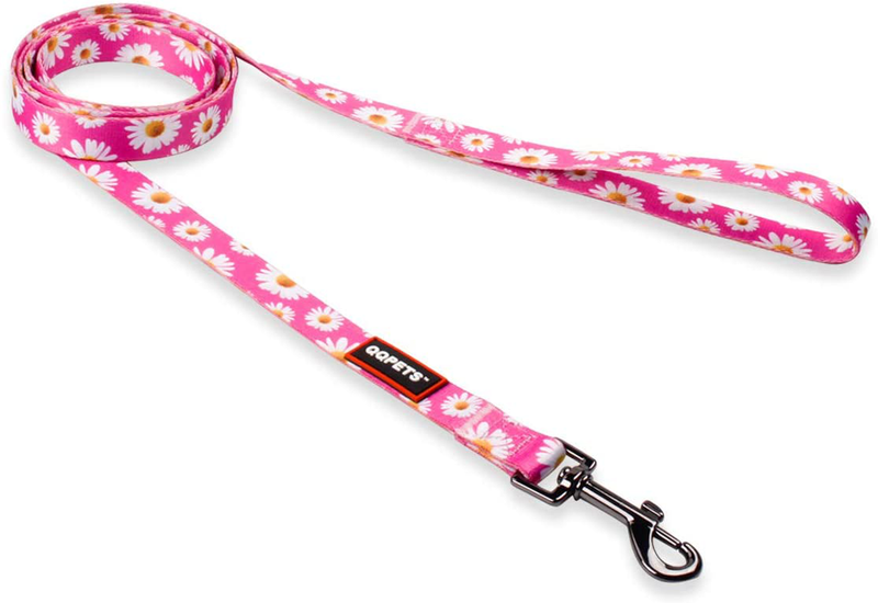 QQPETS Dog Harness Leash Set Adjustable Heavy Duty No Pull Halter Harnesses for Small Medium Large Breed Dogs Back Clip Anti-Twist Perfect for Walking Animals & Pet Supplies > Pet Supplies > Dog Supplies Guangzhou QQPETS Pet Products Co., Ltd.   