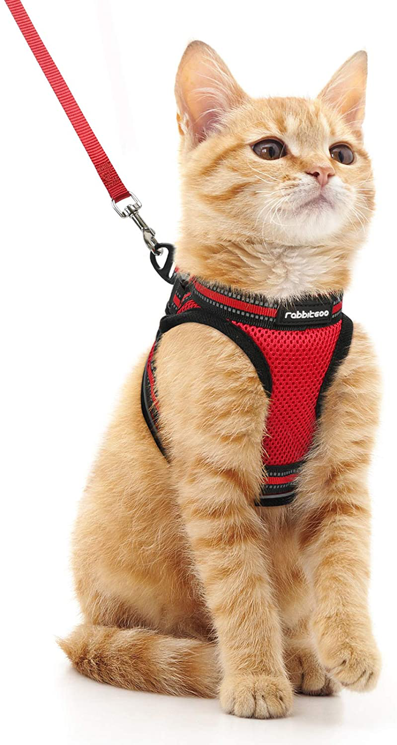 rabbitgoo Cat Harness and Leash Set for Walking Escape Proof, Adjustable Soft Kittens Vest with Reflective Strip for Cats, Comfortable Outdoor Vest, Black, S (Chest:9.0"-12.0") Animals & Pet Supplies > Pet Supplies > Cat Supplies > Cat Apparel rabbitgoo Red Medium 