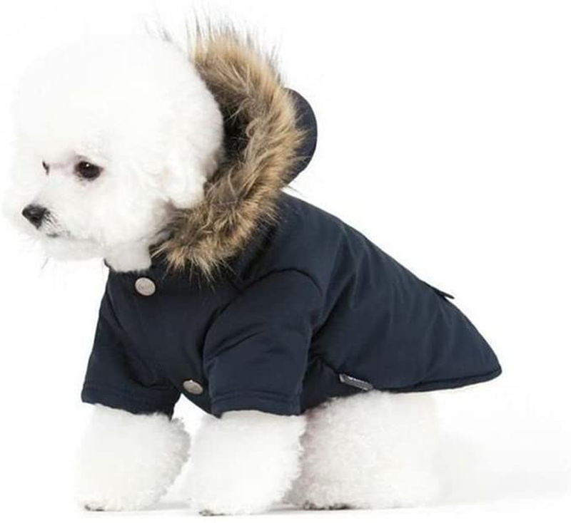 Petbobo Cat Dog Doggie down Jacket Hoodie Coat Pet Clothes Warm Clothing for Small Dogs Winter Black M