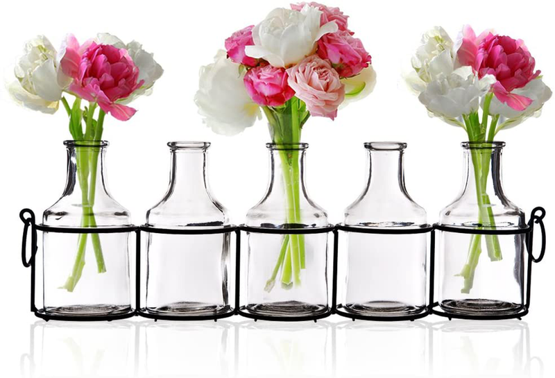 Emenest Small Glass Bud Vases for Flowers in Black Metal Rack Stand, Window-Sill Display Set of 5 Crystal Clear Flower Vase, Decorative Centerpiece for Home or Wedding Home & Garden > Decor > Vases Emenest Default Title  