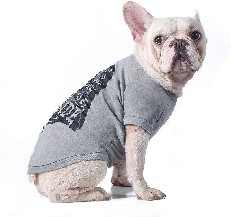 Star Wars for Pets "Don'T Underestimate the Power of My Bark Side" Dog Tee, Grey - Star Wars Pet Shirt for Dogs - Cute Dog Shirt, Pet Clothes for Dogs Animals & Pet Supplies > Pet Supplies > Cat Supplies > Cat Apparel STAR WARS   