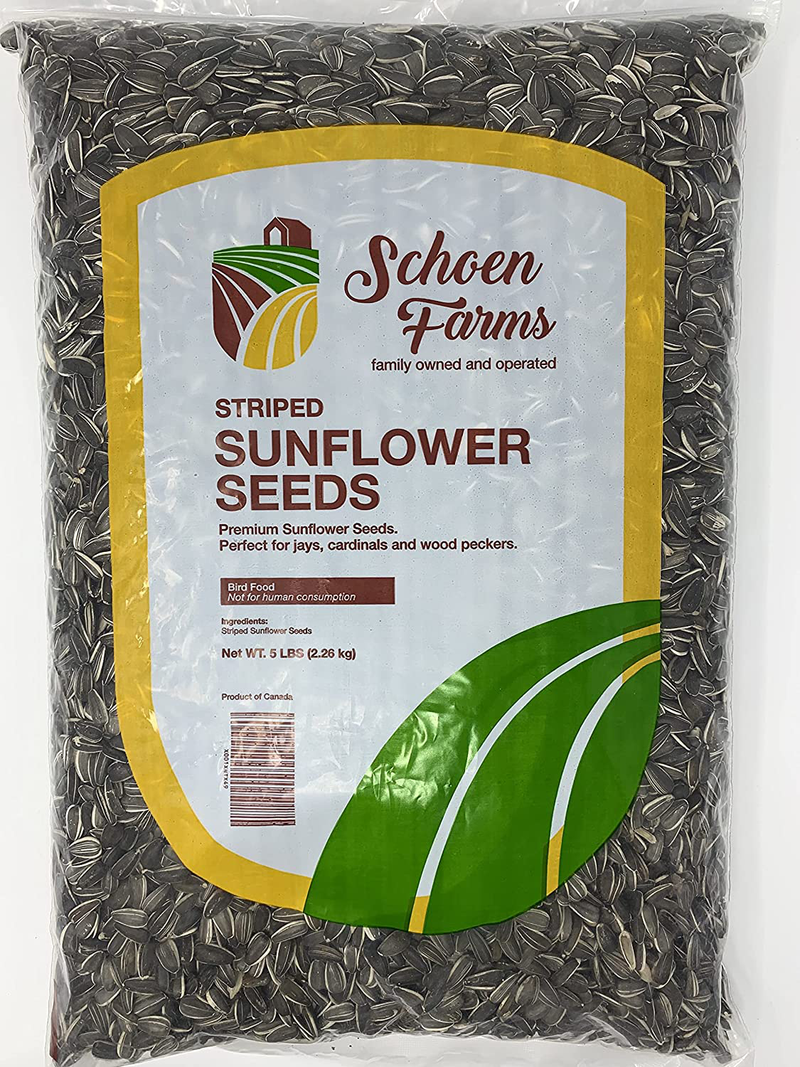 Schoen Farms Striped Sunflower Seeds, Animals & Pet Supplies > Pet Supplies > Bird Supplies > Bird Food Schoen Farms 5 Pound (Pack of 1)  