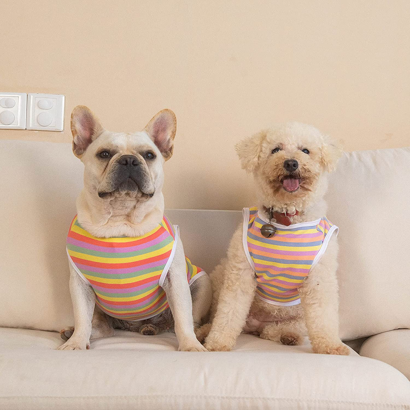 Cutebone Dog Shirts Striped 2-Pack Soft Cotton Pet Clothes Breathable Summer Vest for Small Puppy and Cat Apparel Stretchy, Yellow&Purple