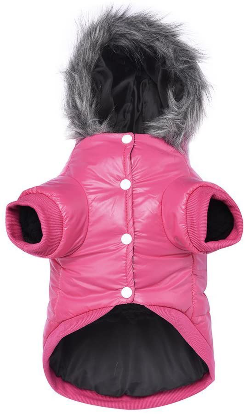 Lesypet Dog Warm Winter Coat, Doggy Coats for Small Dogs Wind Resist Paded Warm Jacket for Puppy Animals & Pet Supplies > Pet Supplies > Dog Supplies > Dog Apparel lesypet Pink X-Large 