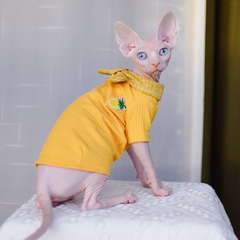 Sphynx Cat Clothes Literary Pineapple Fashion Pet Clothes Comfortable Spring Summer Cat'S Shirts Kitten Shirts Cat Apparel for Sphinx, Cornish Rex, Devon Rex, Peterbald,Knnis,Abbey Cat Animals & Pet Supplies > Pet Supplies > Cat Supplies > Cat Apparel DUOMASUMI   