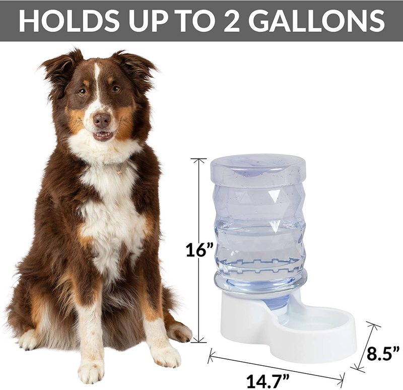PetFusion H2O Gravity Pet Water Dispenser. Durable 2.5 Gallon Water Feeder. Automatic Water Station for Cats & Small, Medium, & Large Dogs Animals & Pet Supplies > Pet Supplies > Dog Supplies PetFusion   