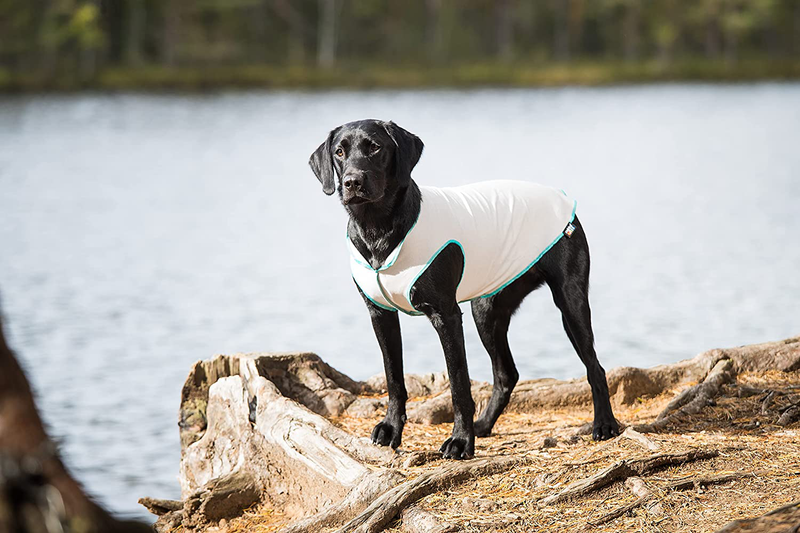Dog Uv-Protection Shirt Sunny UPF50+ Pet T-Shirt and Swimsuit Stretchy and Comfortable Machine Washable