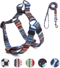 QQPETS Dog Harness Leash Set Adjustable Heavy Duty No Pull Halter Harnesses for Small Medium Large Breed Dogs Back Clip Anti-Twist Perfect for Walking Animals & Pet Supplies > Pet Supplies > Dog Supplies Guangzhou QQPETS Pet Products Co., Ltd. Splicing M(19"-26" Chest Girth) 