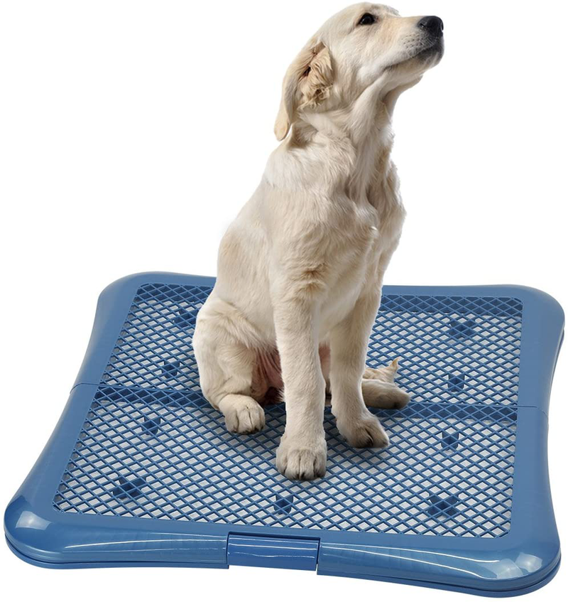 Petphabet Training Pad Holder Floor Protection Dog Pad Holder Mesh Training Tray Animals & Pet Supplies > Pet Supplies > Dog Supplies > Dog Diaper Pads & Liners Gardner Pet Group Inc Large (Pack of 1)  