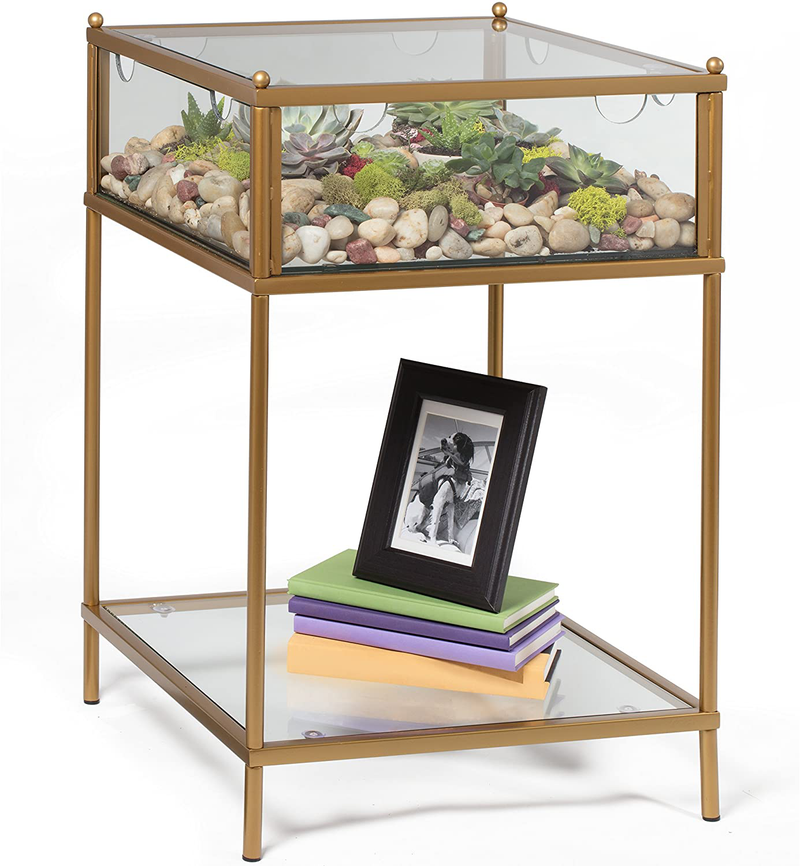 Square Terrarium Display End Table with Reinforced Glass in Gold Iron- 18" L x 18" W x 27" H- Great Indoor Decor for Home or Office- DIY Garden for Fern Moss Succulents- Holiday Wedding Gift Animals & Pet Supplies > Pet Supplies > Reptile & Amphibian Supplies > Reptile & Amphibian Habitats D'Eco   