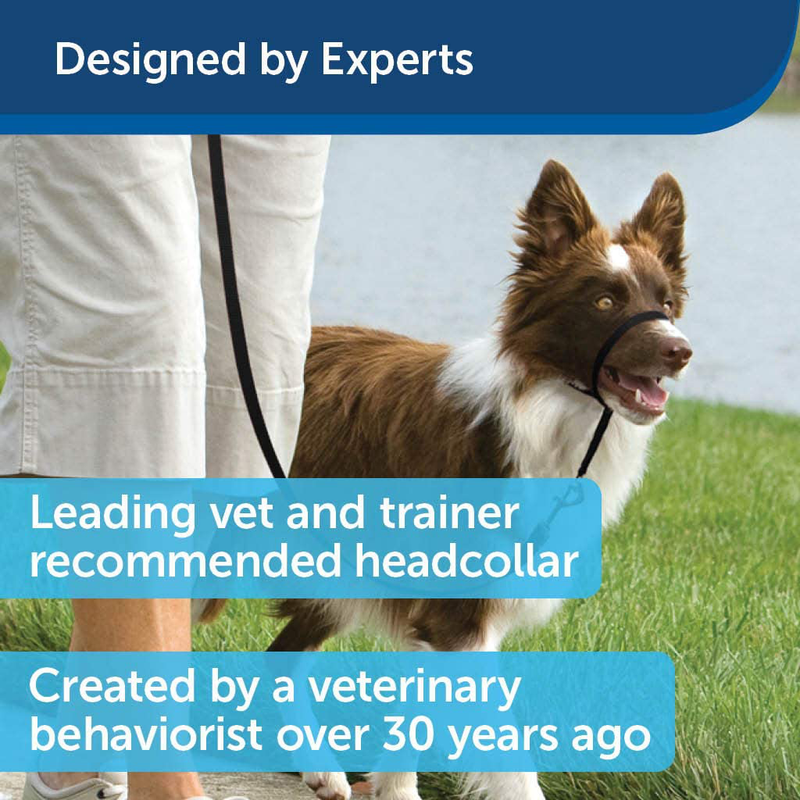 PetSafe Gentle Leader Headcollar, No-Pull Dog Collar – Perfect for Leash & Harness Training