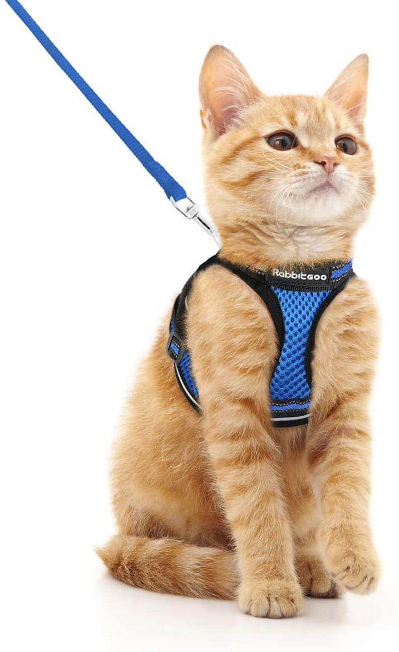 rabbitgoo Cat Harness and Leash Set for Walking Escape Proof, Adjustable Soft Kittens Vest with Reflective Strip for Cats, Comfortable Outdoor Vest, Black, S (Chest:9.0"-12.0") Animals & Pet Supplies > Pet Supplies > Cat Supplies > Cat Apparel rabbitgoo Blue Medium 