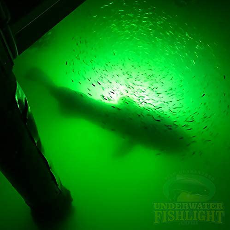Natural Green 250w Underwater Fish Light