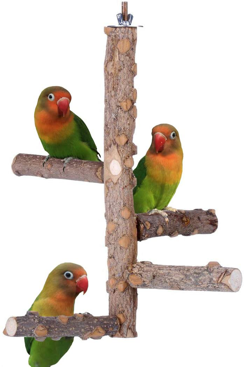 KINTOR Bird Perch Nature Wood Stand for 3-4pcs Small Medium Parrots Animals & Pet Supplies > Pet Supplies > Bird Supplies KINTOR S--for Small Parrots  